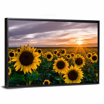 Sunflowers Sunset Wall Art