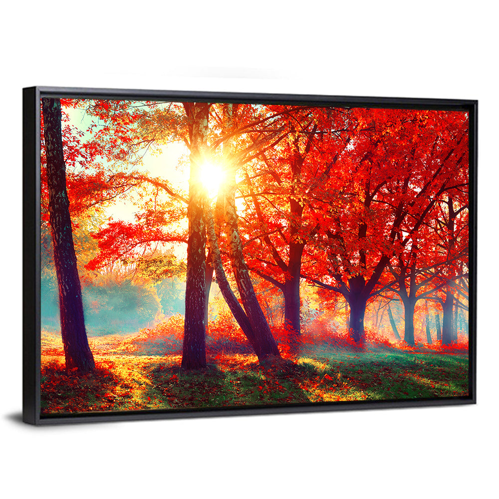Autumn Park Sunrise Wall Art