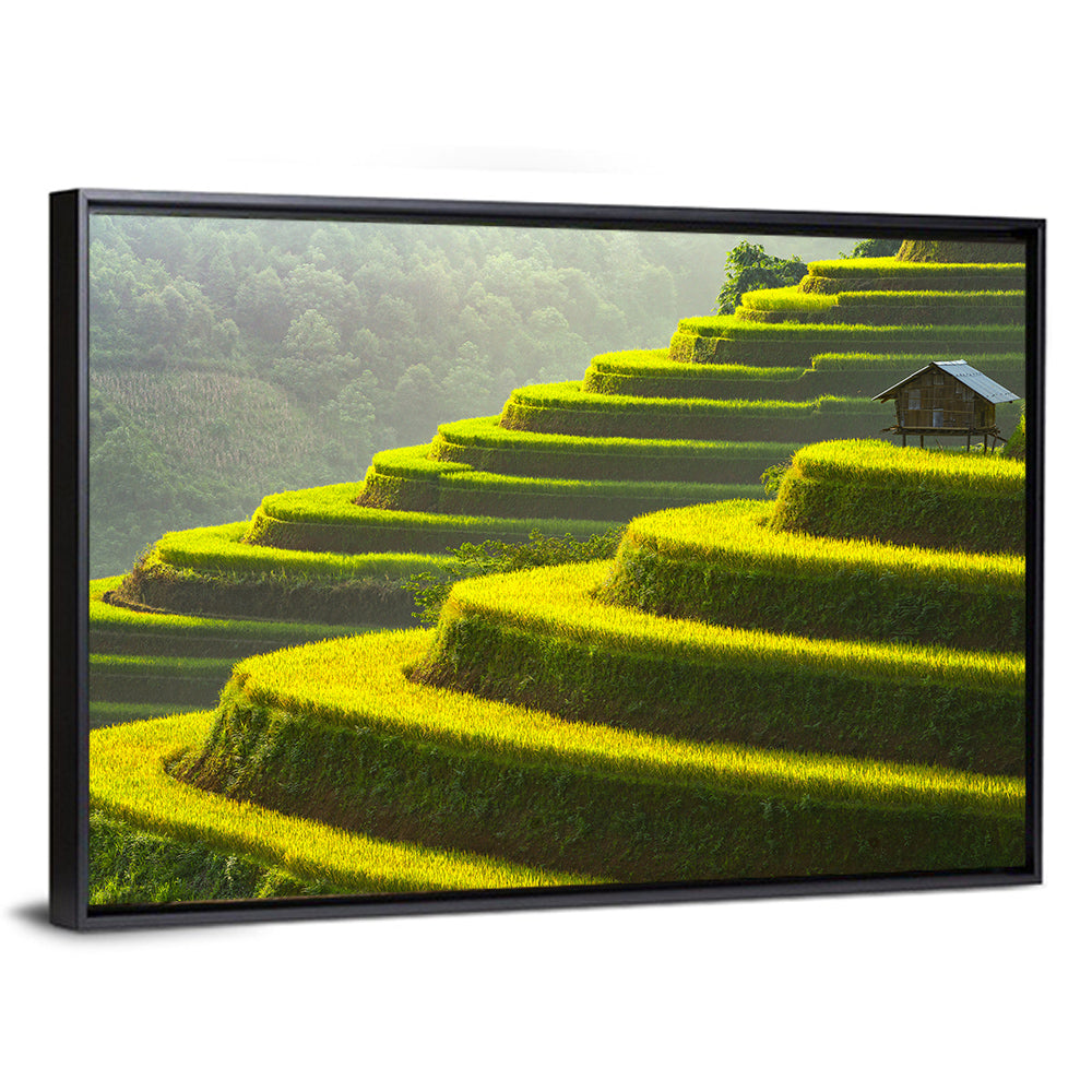 Golden Rice Terraces Wall Art