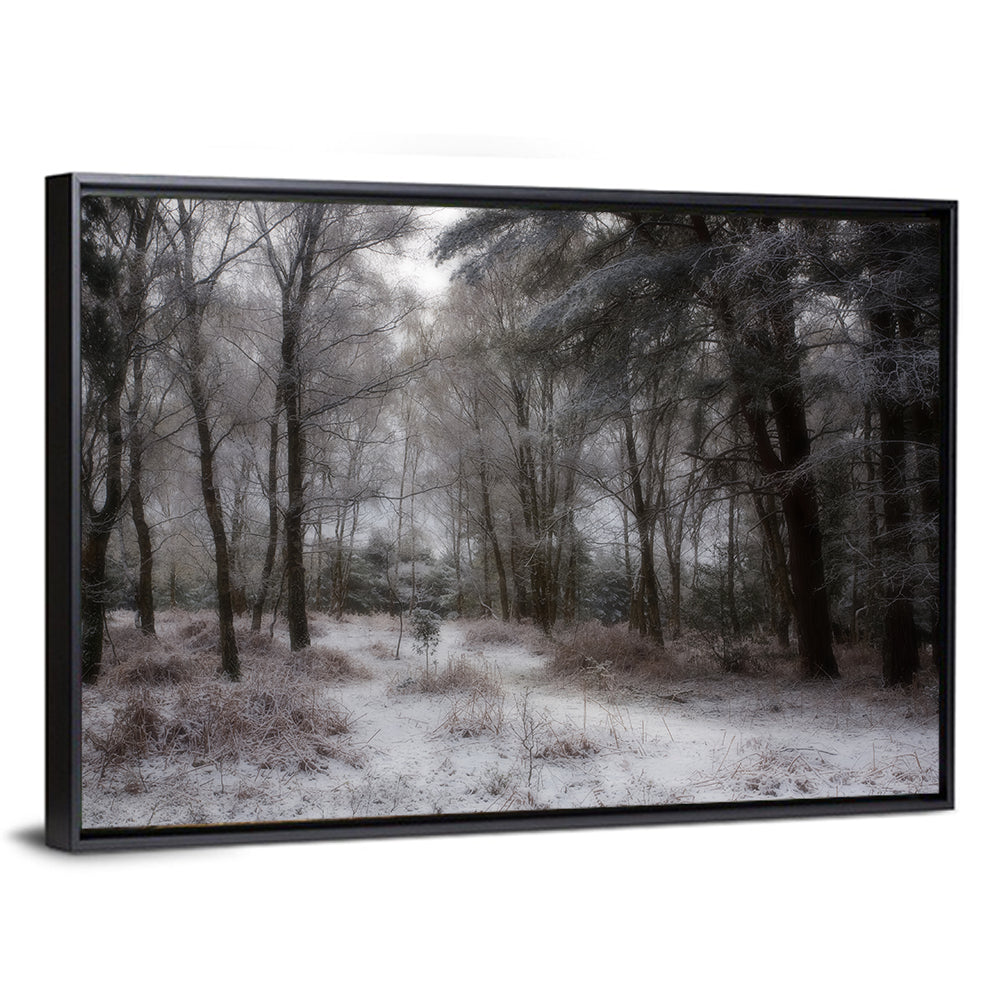 New Forest Winter Path Wall Art