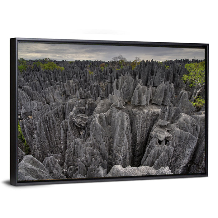 Tsingy De Bemaraha Pinnacles Wall Art as a framed canvas