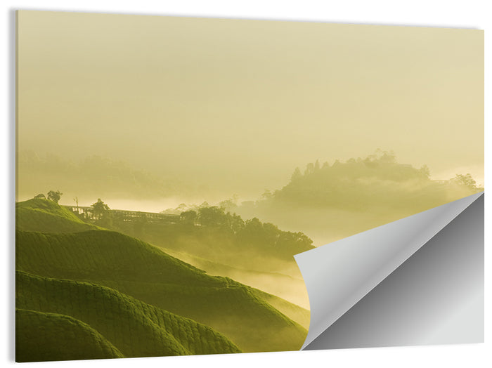 Tea Plantation Morning Mist Wall Art as a poster print
