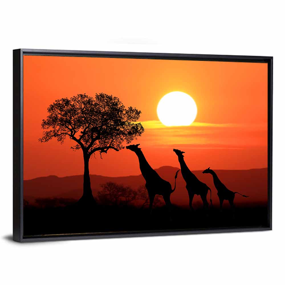 South African Giraffes Wall Art
