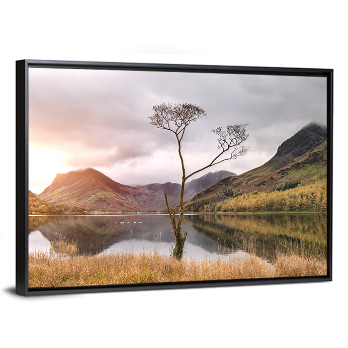 Buttermere Lone Tree at Dusk Wall Art as a framed canvas