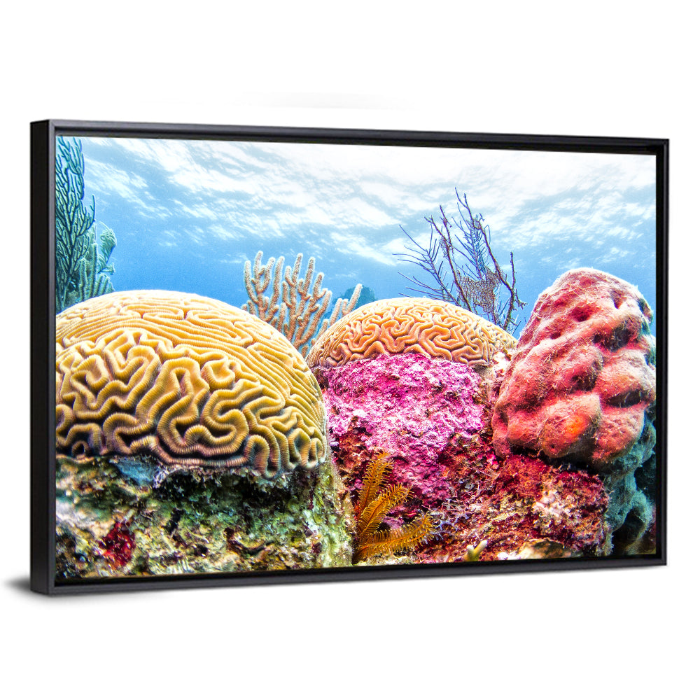 Vibrant Brain Coral Reef Wall Art