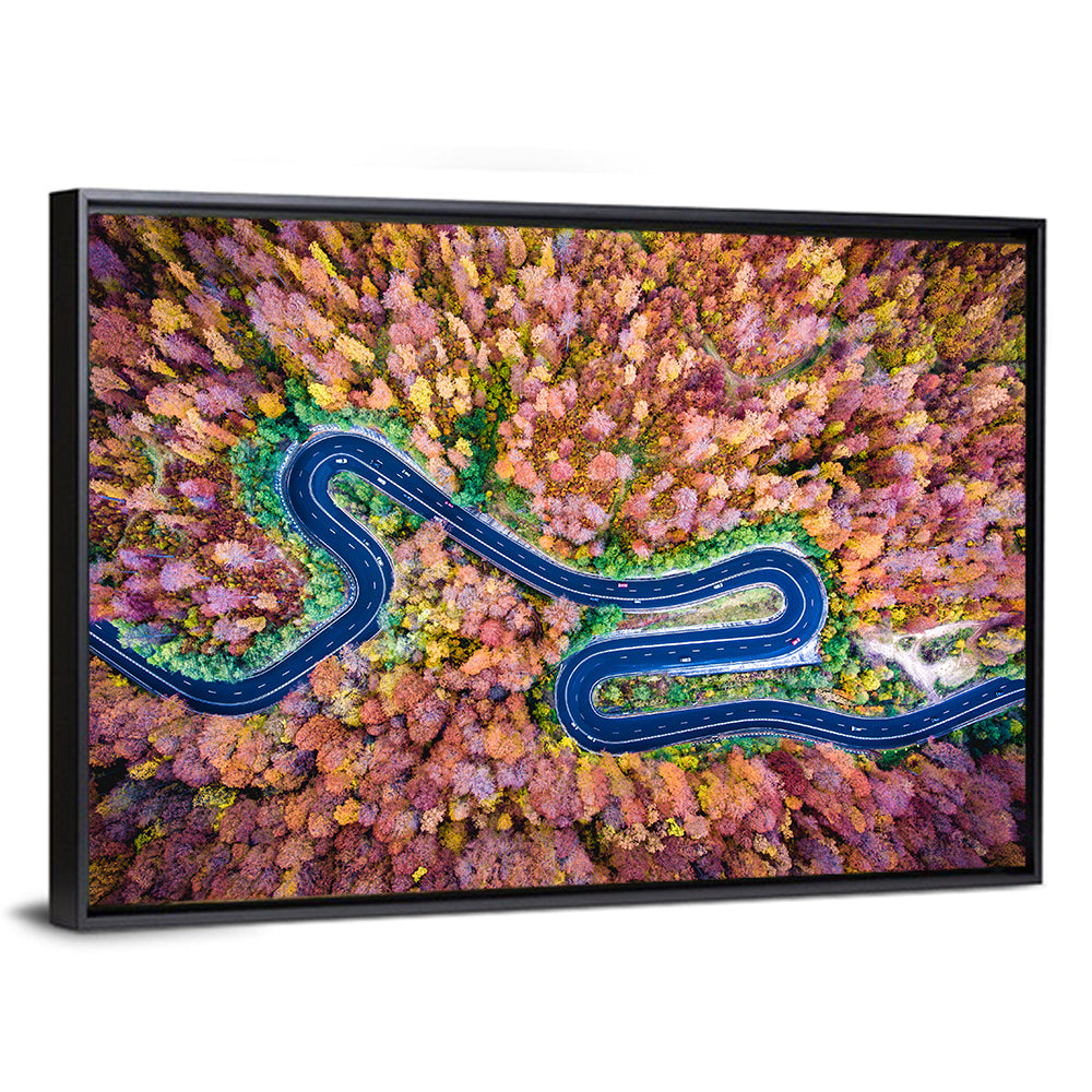 Aerial Winding Road Wall Art