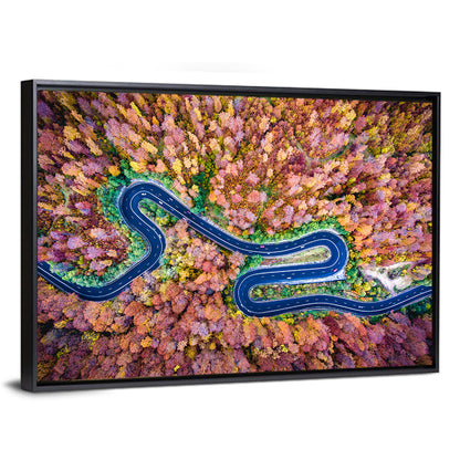 Curved Road Wall Art