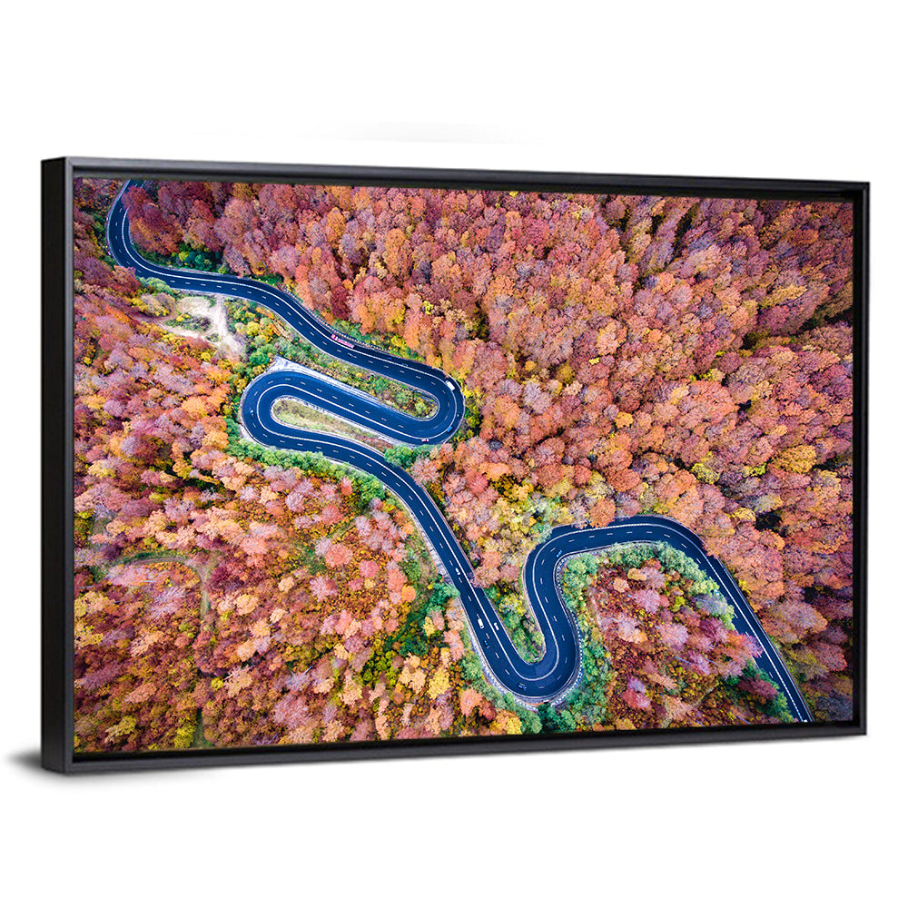 Serpentine Autumn Road Wall Art