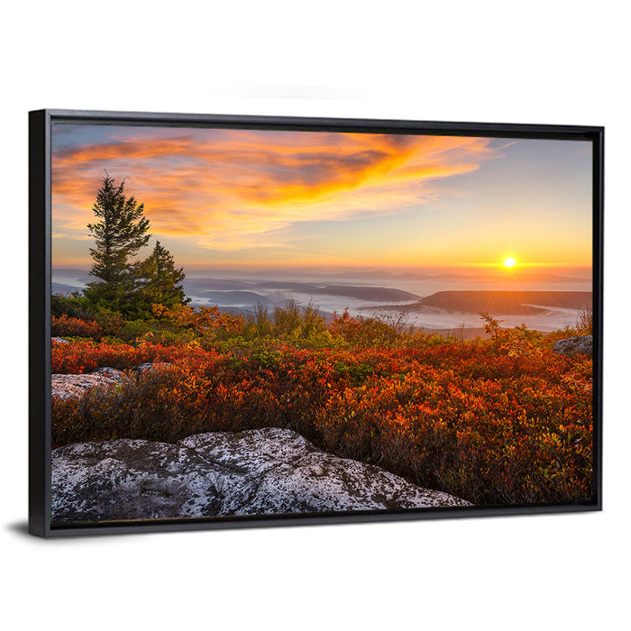 Sunrise Over Dolly Sods Wall Art as a framed canvas
