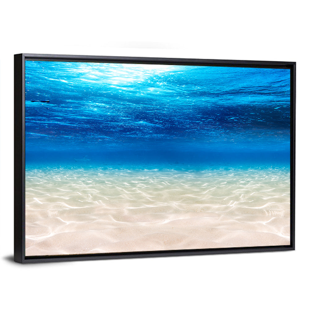 Sunlit Sandy Seabed Wall Art