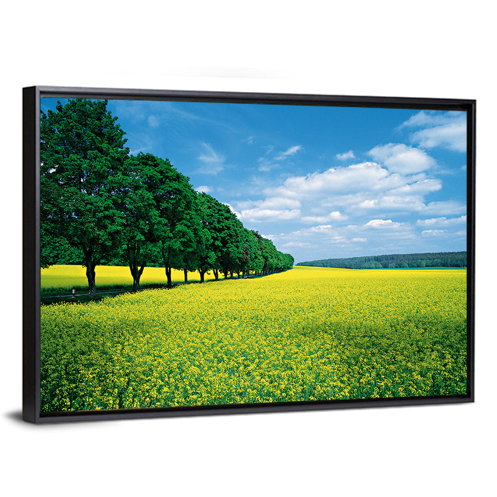 Spring Field of Yellow Flowers Wall Art