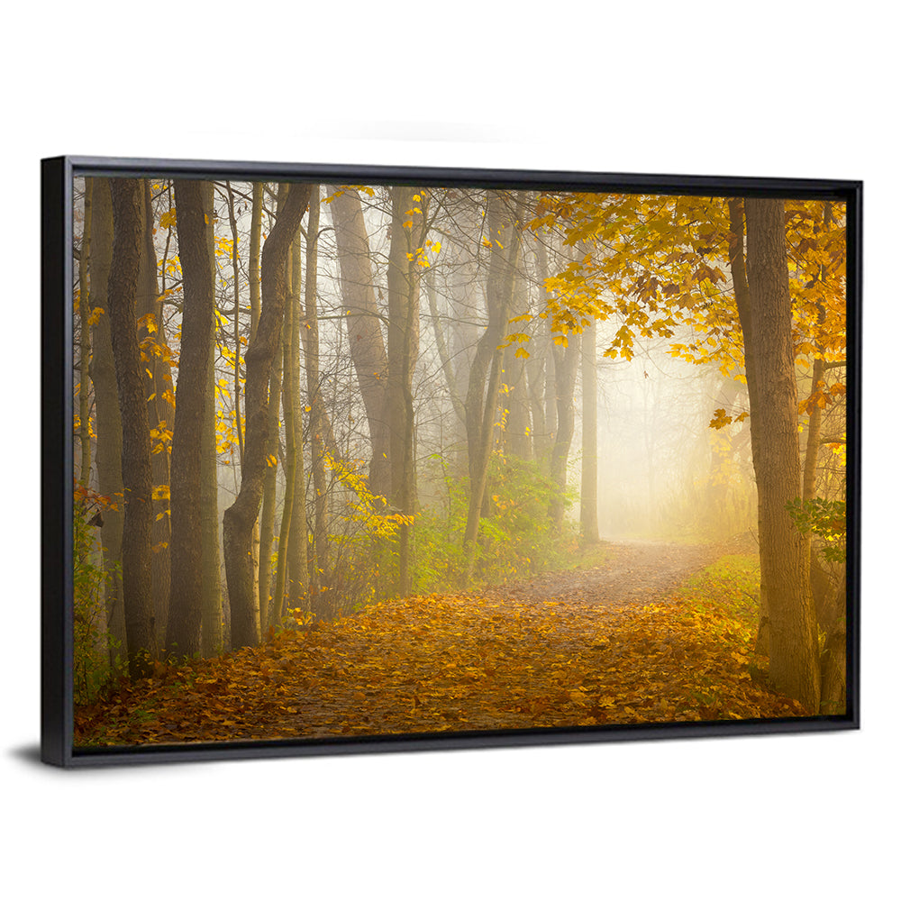 Cuyahoga Valley Autumn Path Wall Art