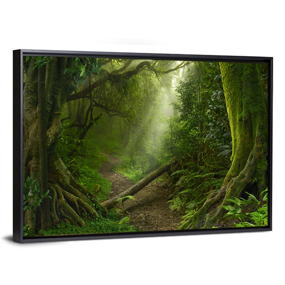 Moss-covered Rainforest Path Wall Art