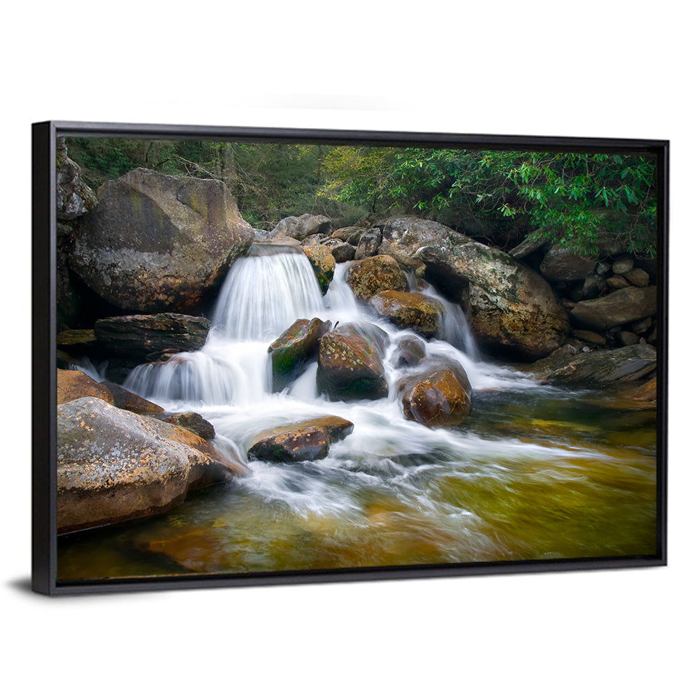 Blue Ridge Mossy Waterfall Wall Art