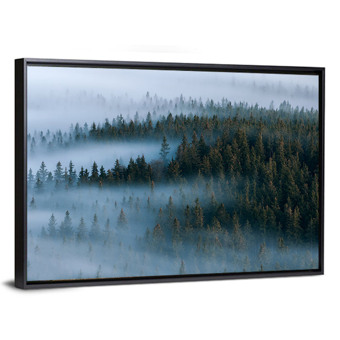 Morning Mist Over Pine Valley Wall Art as a framed canvas