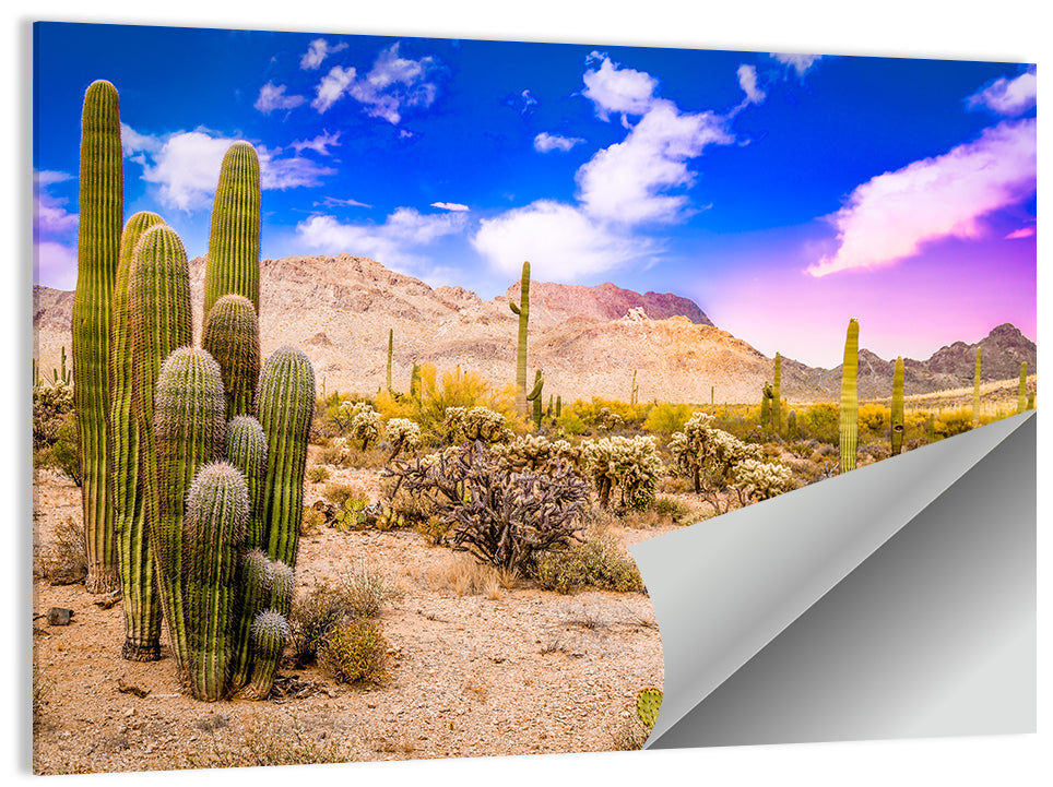 Arizona Saguaro Sunset Wall Art