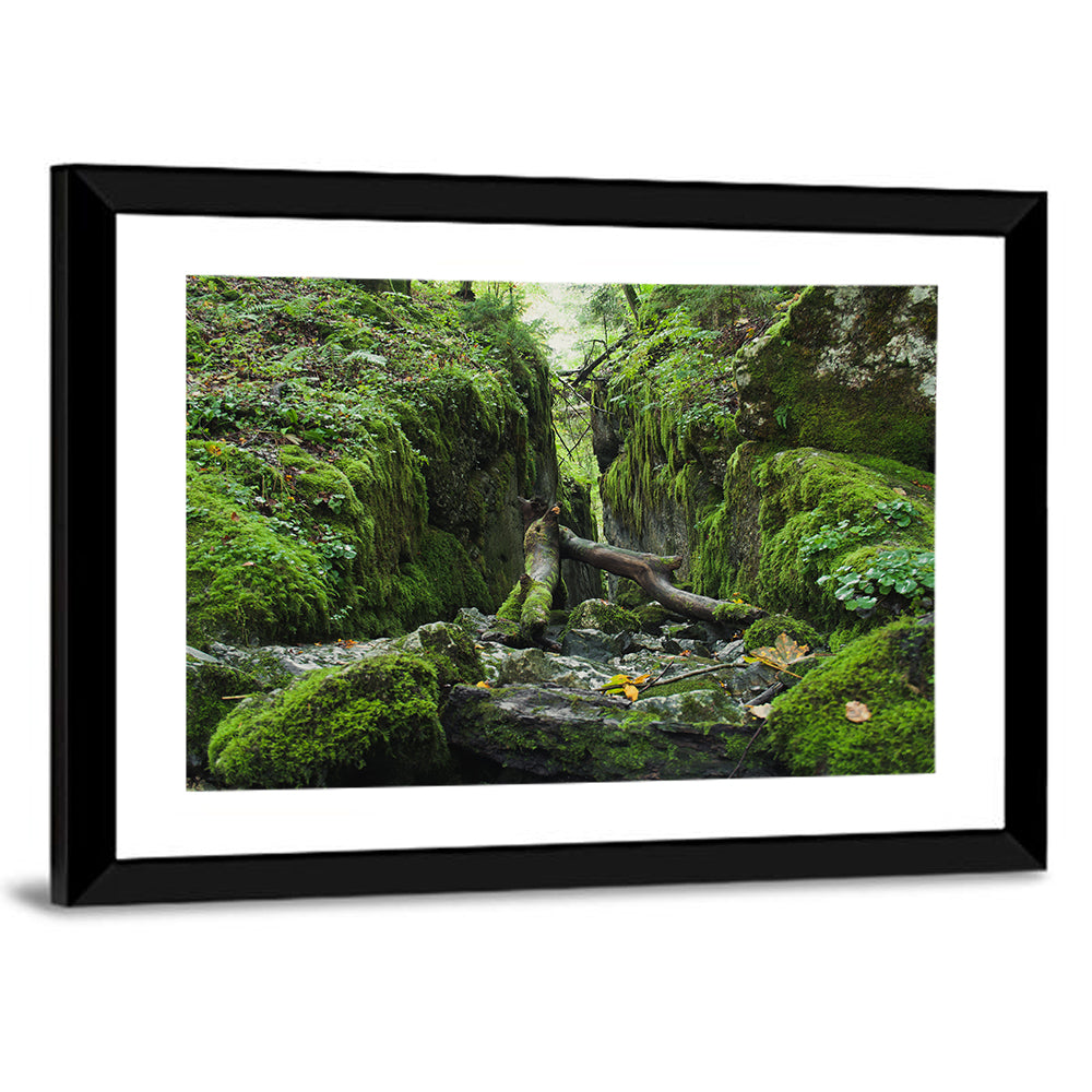 Kammersee Mossy Cleft Wall Art