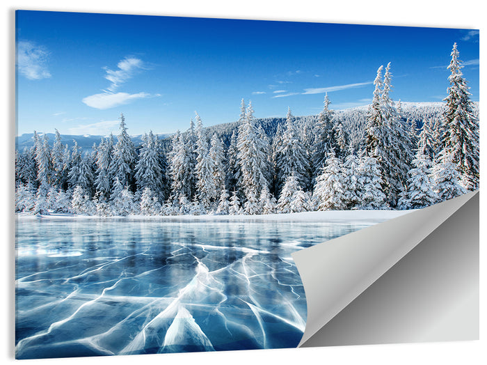 Cracked Ice Lake with Snowy Pines Wall Art as a poster print