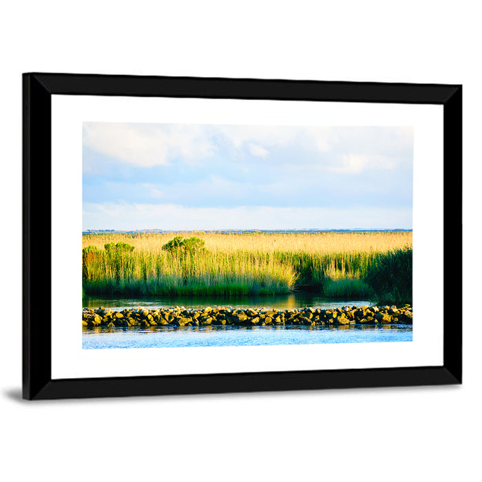 Louisiana Bayou Marsh at Golden Hour Wall Art as a framed print
