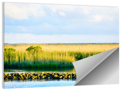 Marsh On Louisiana Bayou Wall Art