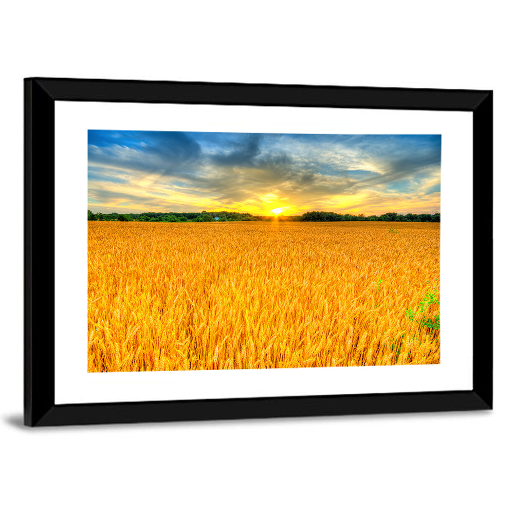 Wheat Field Sunset Wall Art