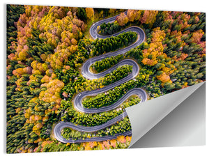 Winding Forest Road Wall Art