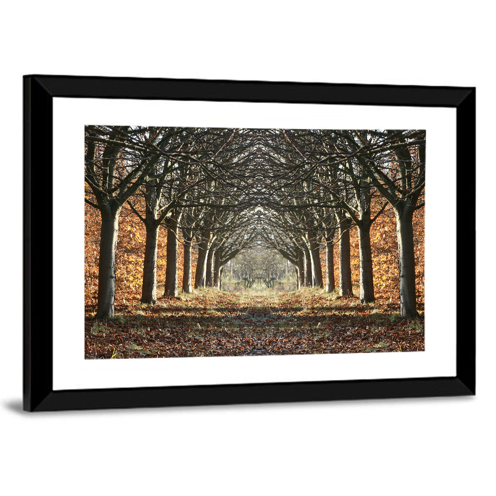 Danish Autumn Tree-lined Path Wall Art