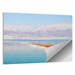 Dead Sea Island Wall Art