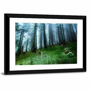 Light Gleams In Green Forest Wall Art