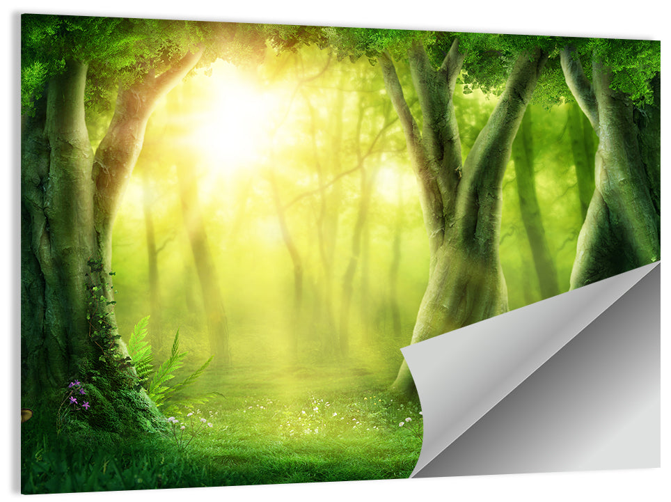 Enchanted Forest at Sunrise Wall Art