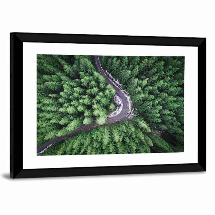 Aerial Forest Road Wall Art as a framed print
