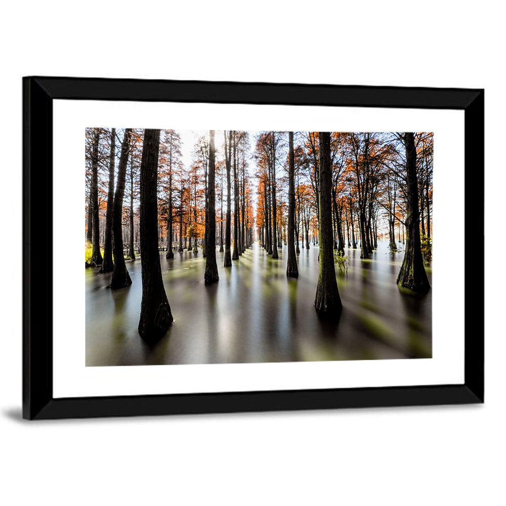 Autumn Flooded Cypress Forest Wall Art