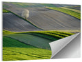 Springtime Polish Fields Wall Art