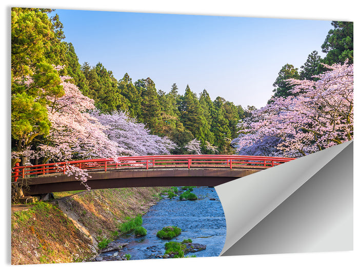 Arched Red Bridge with Cherry Blossoms Wall Art as a poster print