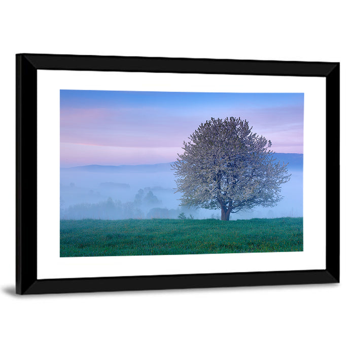 Misty Sumava Mountain Tree Wall Art as a framed print
