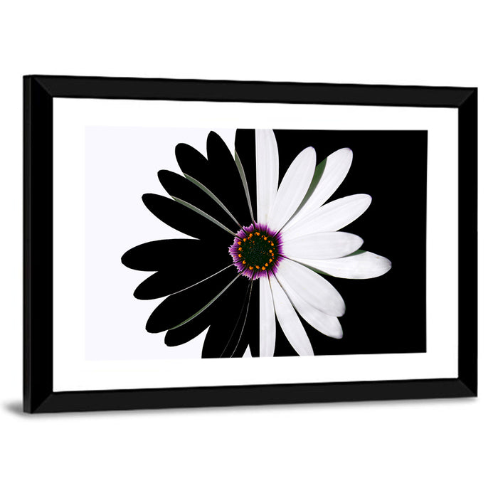 Black and White Daisy with Purple Ring Wall Art as a framed print