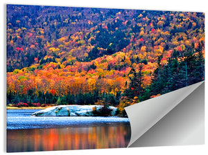 New Hampshire Fall Foliage Wall Art