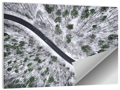 Snowy Forest Road Wall Art