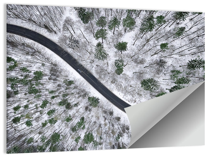 Snowy Forest Road Wall Art as a poster print
