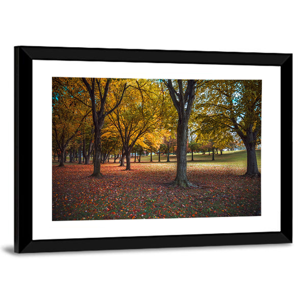 Autumn Park Trees, Pennsylvania Wall Art