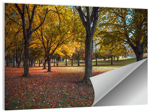 Autumn Park Pennsylvania Wall Art