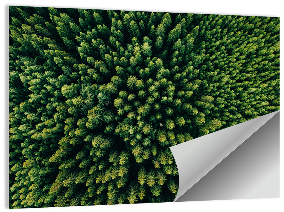 Forest Aerial Pattern Wall Art