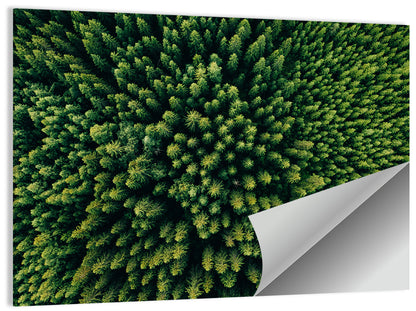 Forest Aerial Pattern Wall Art
