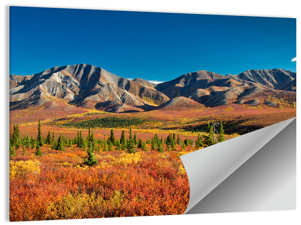 Denali National Park Wall Art