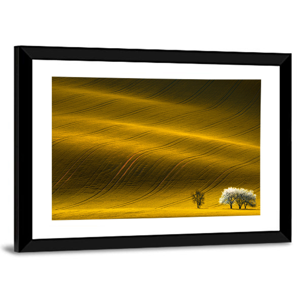 Golden Hour Rapeseed Field Wall Art