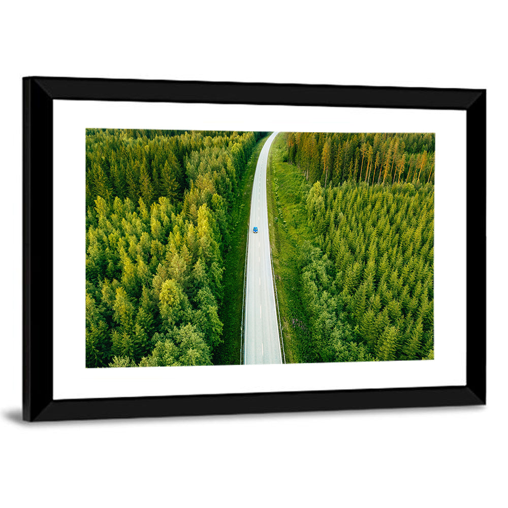 Road Through Forest Wall Art