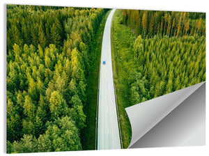 Road Through Forest Wall Art