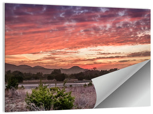 Texas State Highway 16 Sunset Wall Art