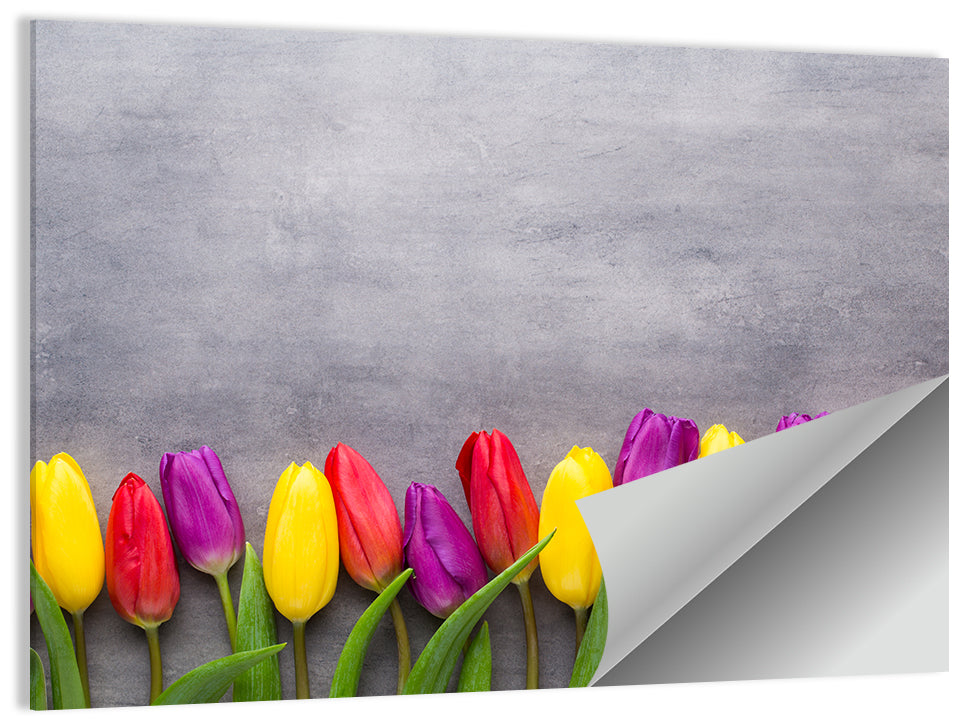 Multicolored Tulips Wall Art