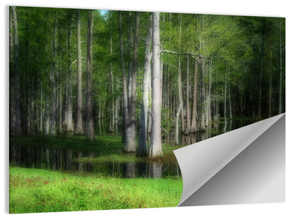 Lush Green Swamp Wall Art